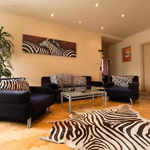 Zebra Kraków